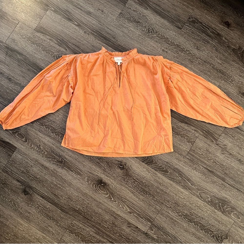 Cleobellaphoenixtopnew